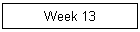 Week 13