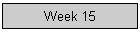 Week 15