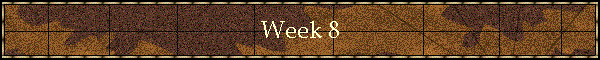 Week 8